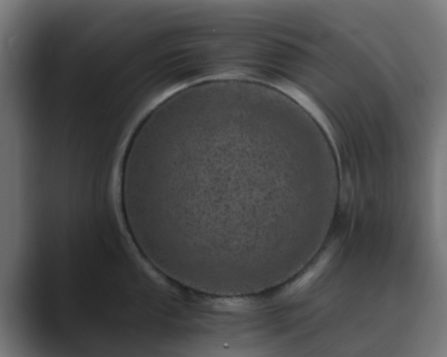 X0000089711053200706281509