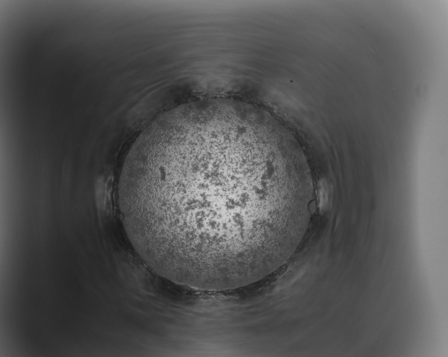 X0000089711059200706281508