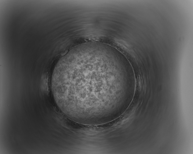 X0000089711060200706281508