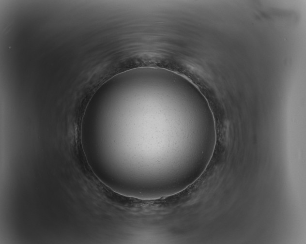 X0000089711061200706281508