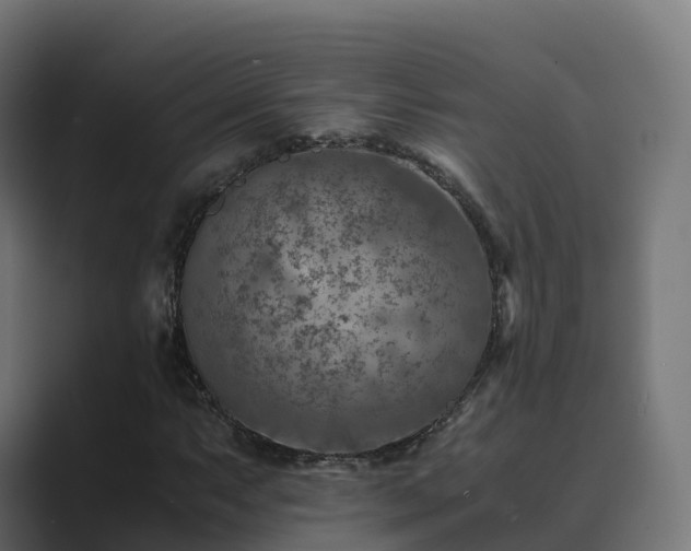 X0000089711063200706281508