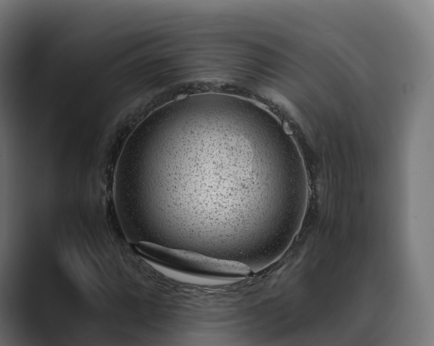 X0000089711064200706281508