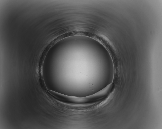 X0000089711065200706281508