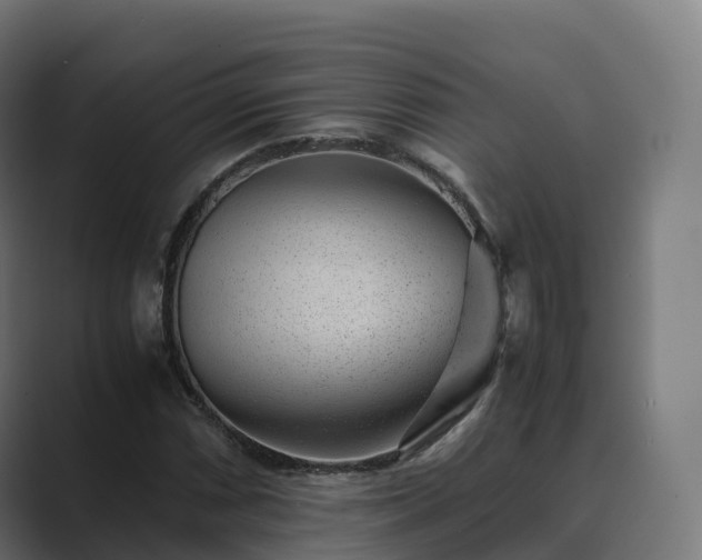 X0000089711066200706281508