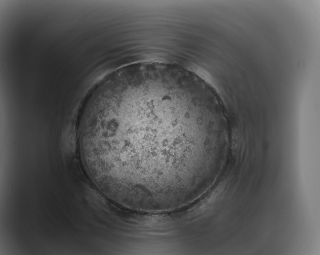 X0000089711067200706281508