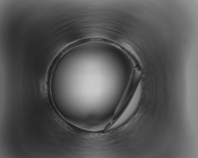 X0000089711068200706281508