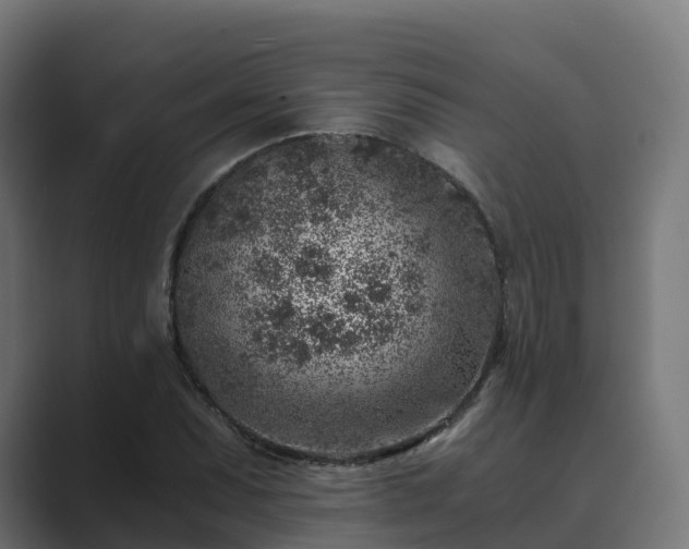 X0000089711071200706281508