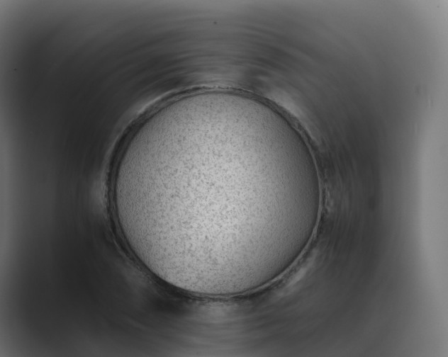 X0000089711074200706281508