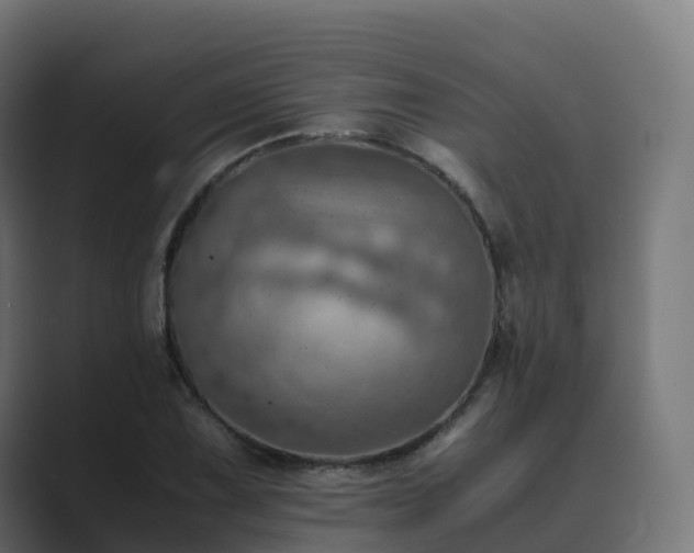 X0000089711075200706281508