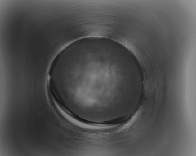 X0000089711077200706281508