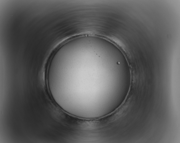 X0000089711078200706281508