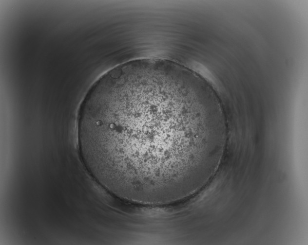 X0000089711079200706281508