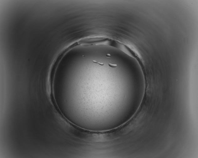 X0000089711080200706281508