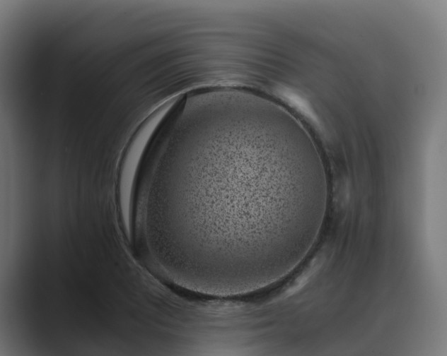 X0000089711081200706281508