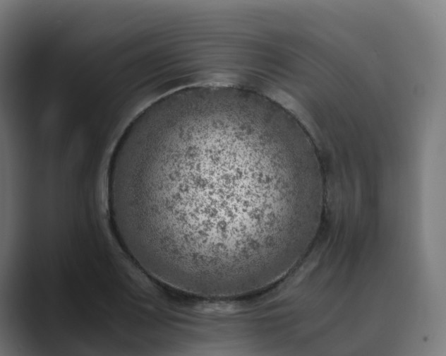 X0000089711083200706281508