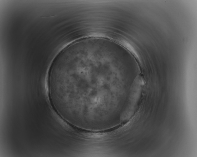 X0000089711084200706281508