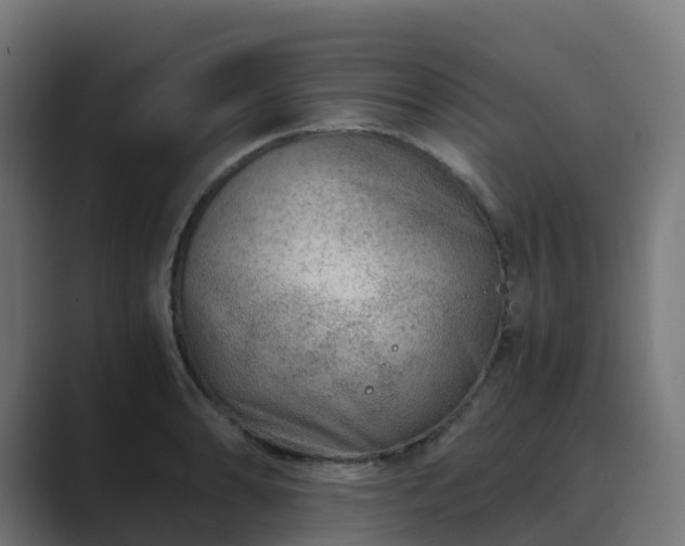 X0000089711086200706281508