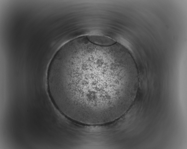 X0000089711087200706281508