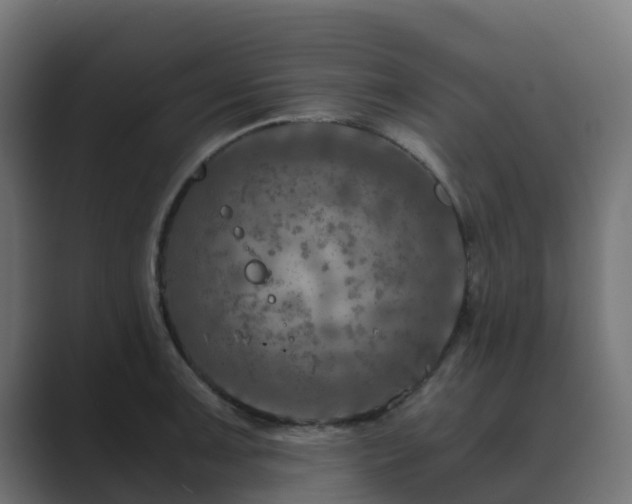 X0000089711091200706281508