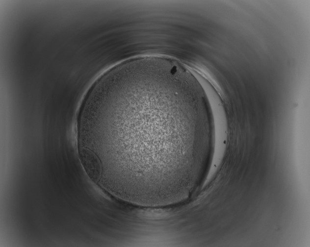 X0000089711092200706281508