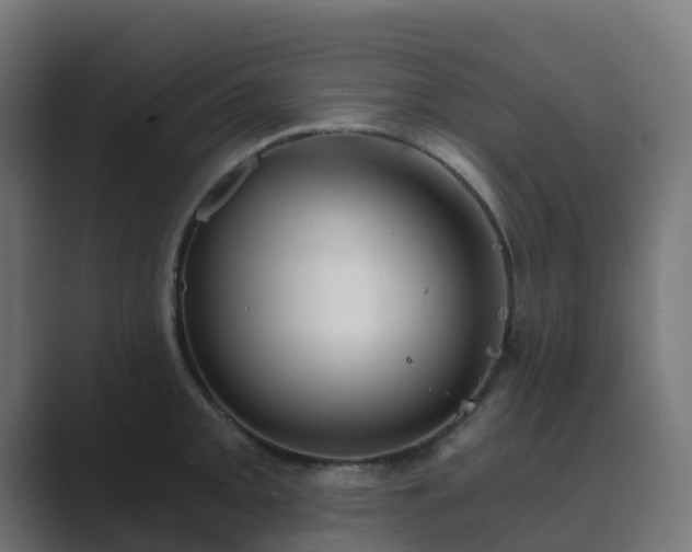 X0000089711093200706281508