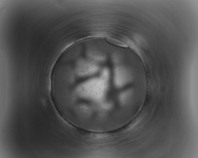 X0000089711095200706281508