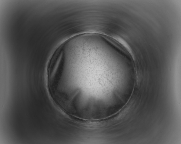 X0000089711096200706281508