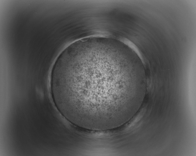 X0000089711099200706281508