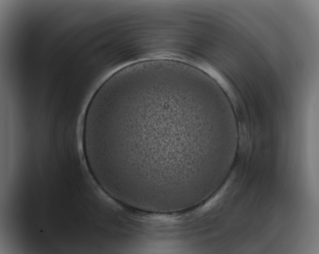 X0000089711102200706281508