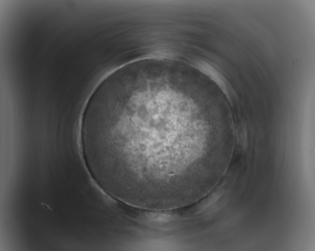 X0000089711103200706281508