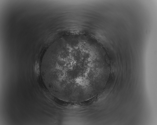 X0000089711106200706281507