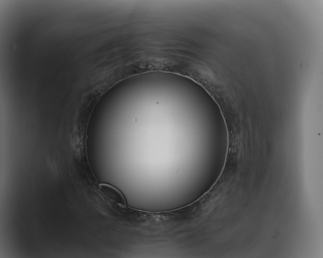 X0000089711109200706281507