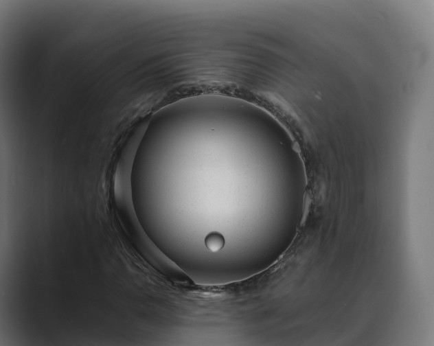 X0000089711110200706281507