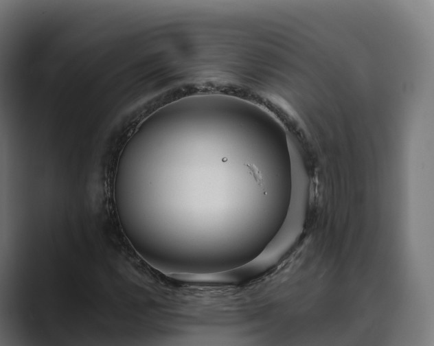 X0000089711112200706281507