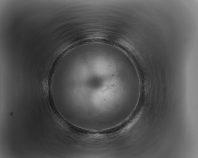 X0000089711113200706281507