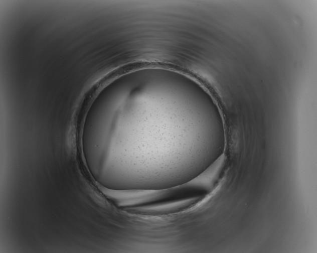 X0000089711114200706281507