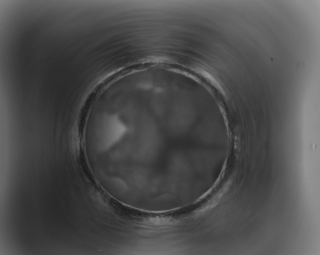 X0000089711117200706281507