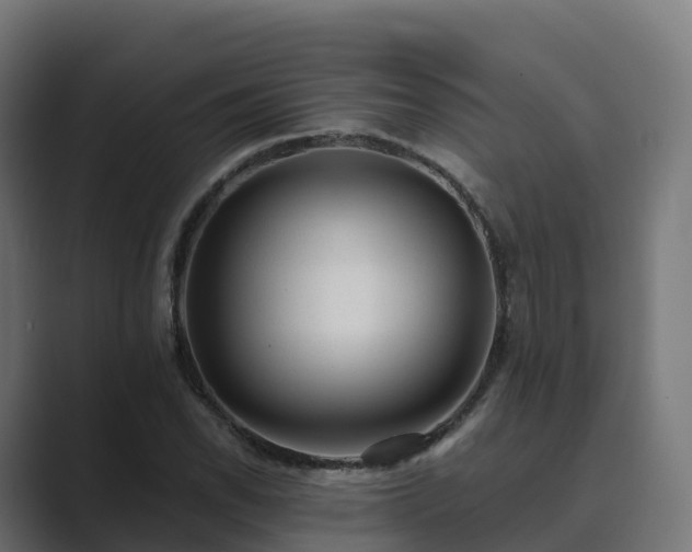 X0000089711118200706281507