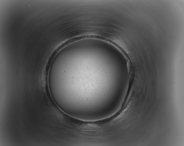 X0000089711119200706281507