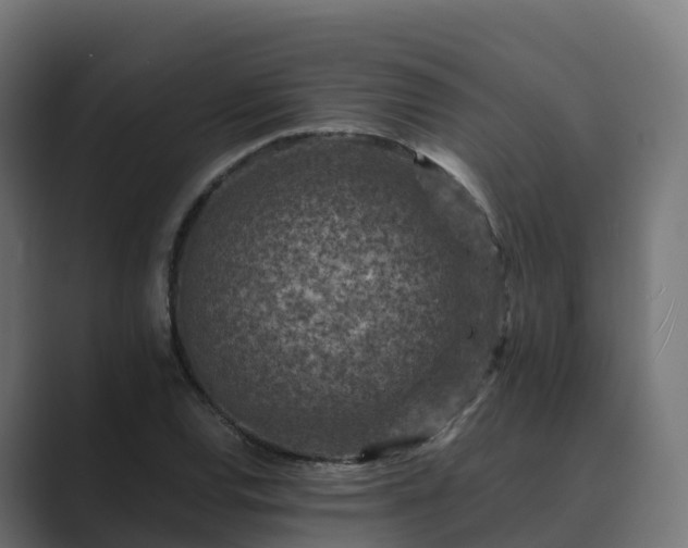 X0000089711120200706281507