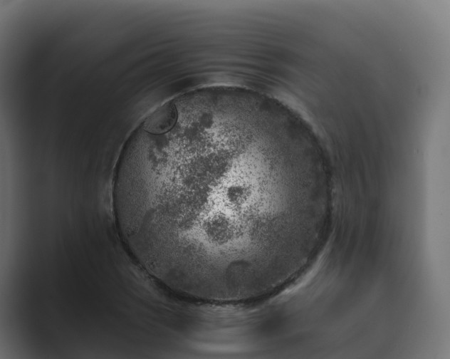 X0000089711121200706281507