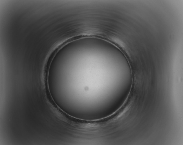 X0000089711122200706281507