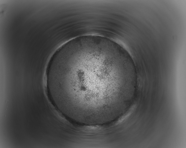 X0000089711125200706281507