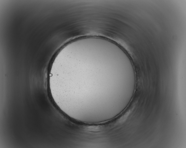 X0000089711126200706281507