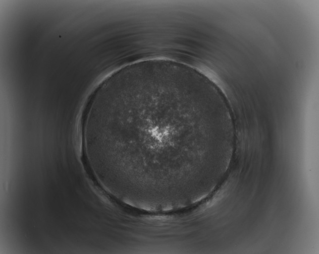 X0000089711127200706281507