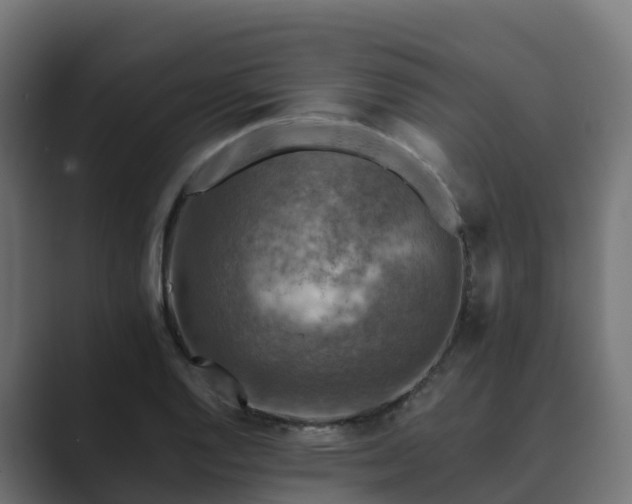 X0000089711128200706281507