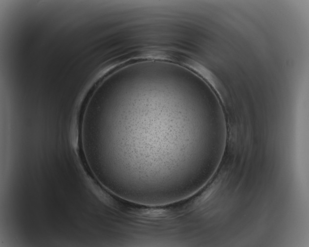 X0000089711131200706281507