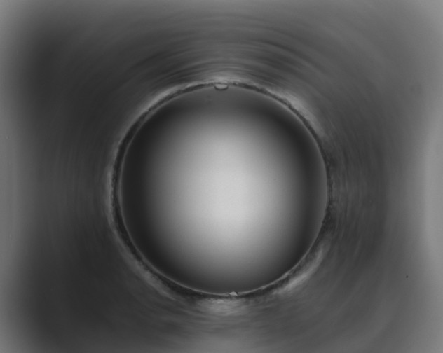 X0000089711134200706281508