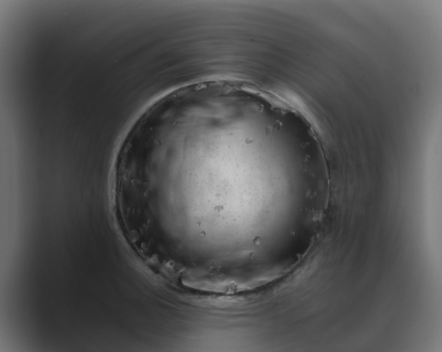 X0000089711140200706281508