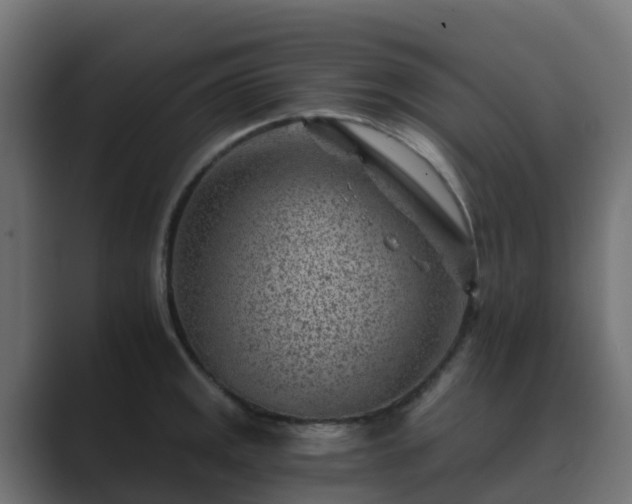 X0000089711141200706281508